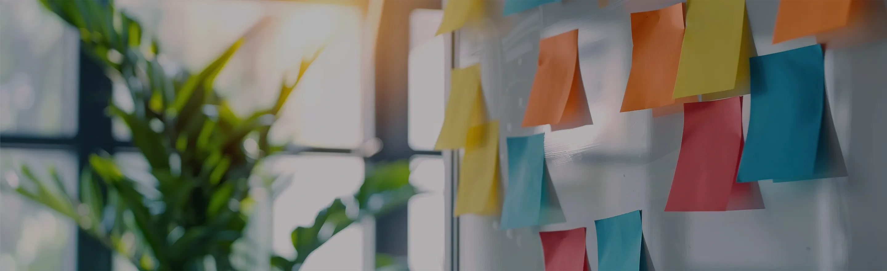 Materiality Assessment